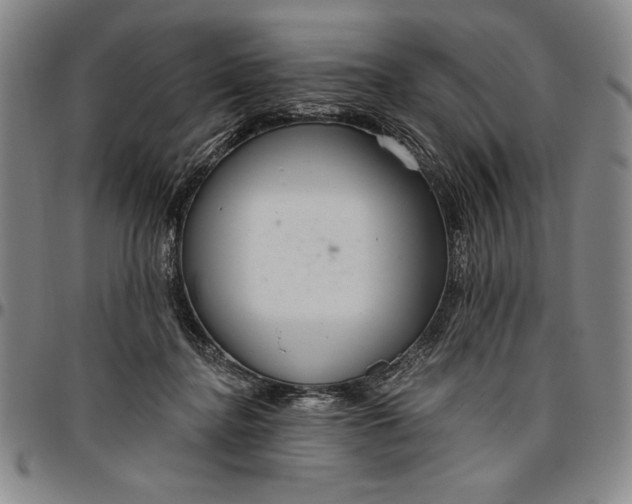 X0000096630364200802191202