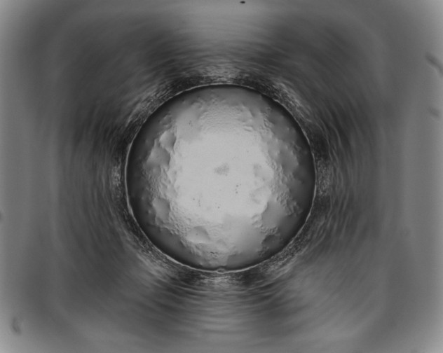 X0000096630365200802191202
