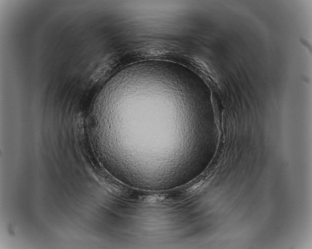 X0000096630366200802191202