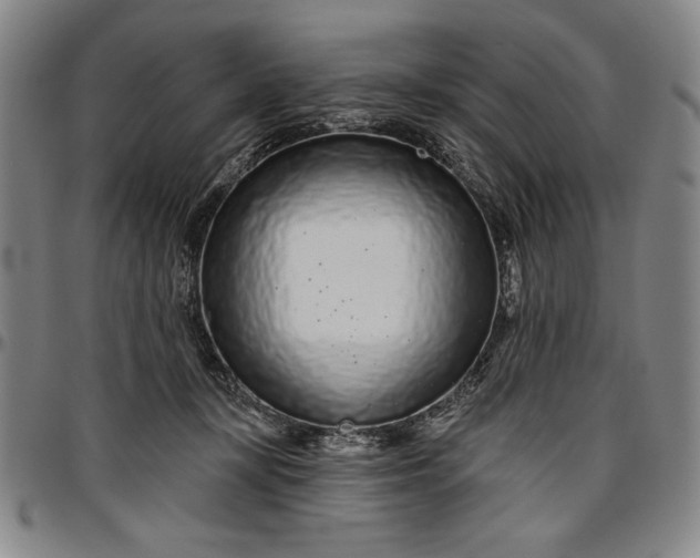 X0000096630367200802191202