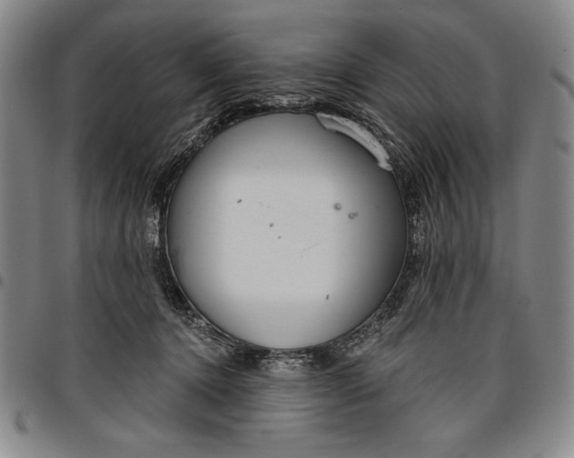 X0000096630368200802191202