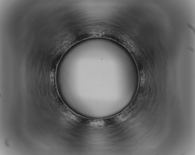 X0000096630369200802191202