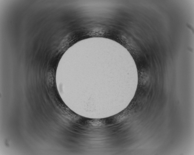 X0000096630370200802191202