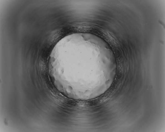 X0000096630371200802191202