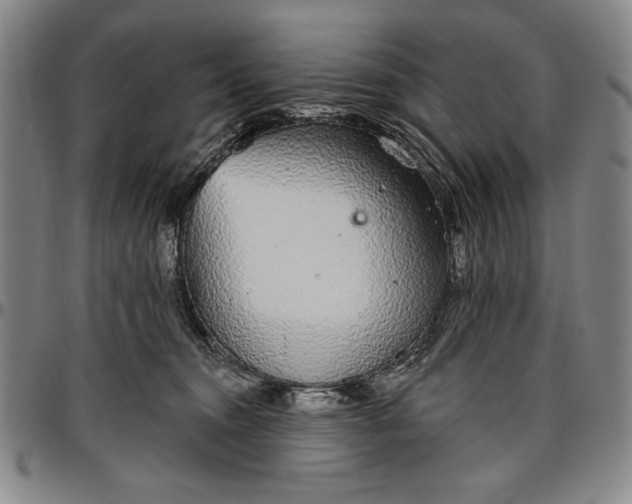 X0000096630372200802191202