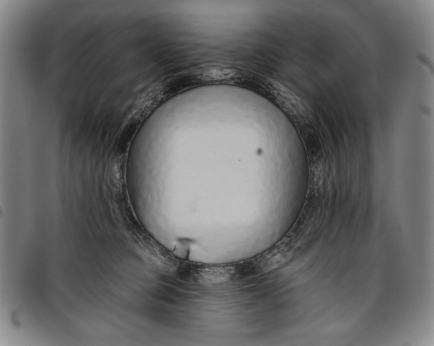 X0000096630373200802191202
