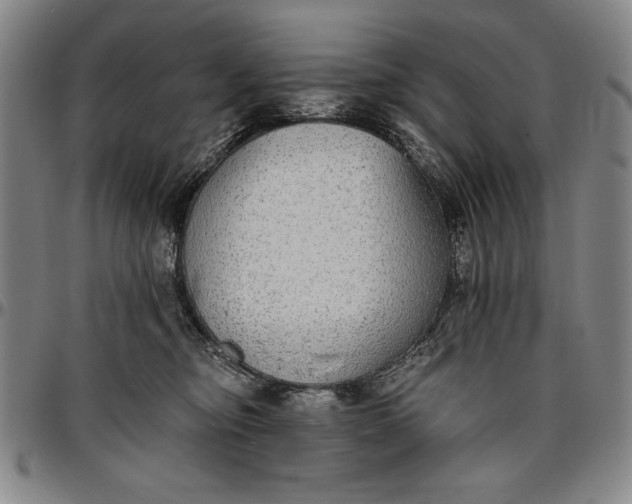 X0000096630374200802191202