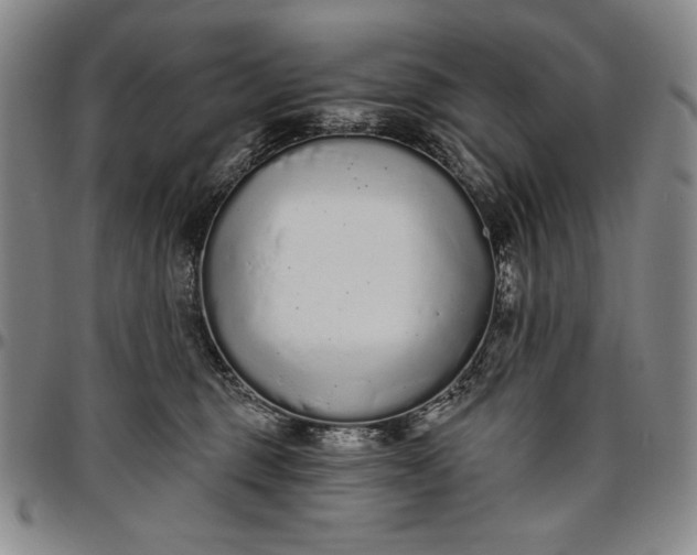 X0000096630375200802191202