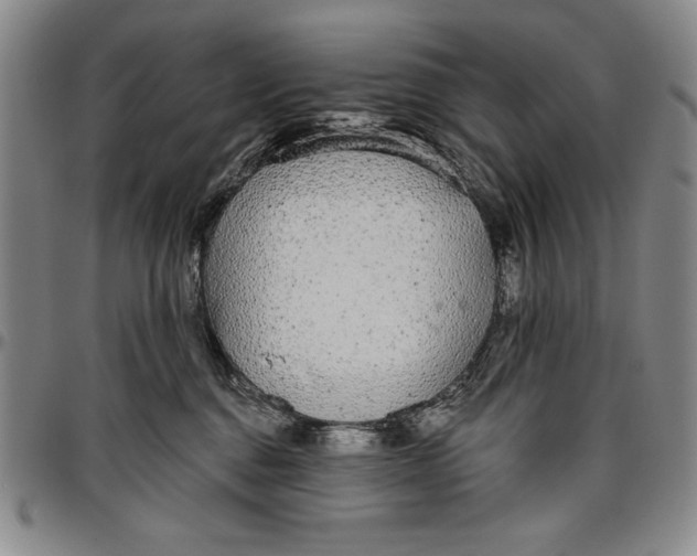 X0000096630376200802191202