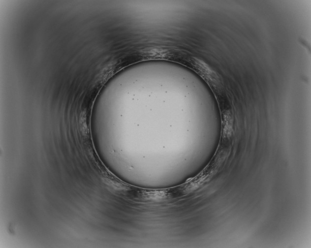 X0000096630377200802191202