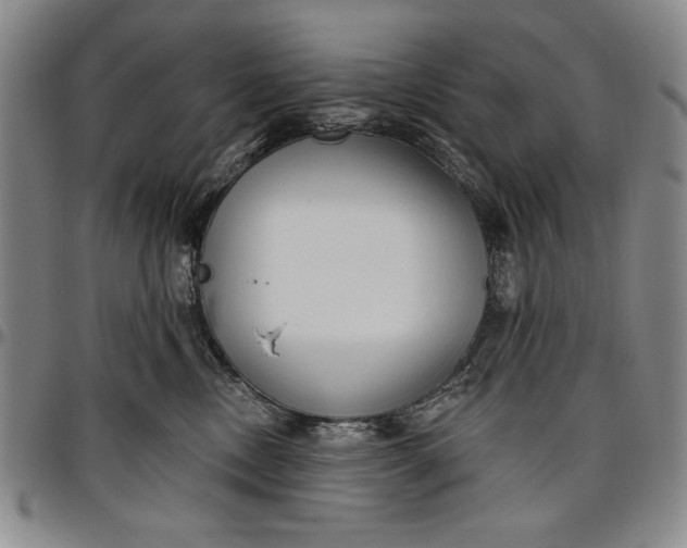 X0000096630378200802191202