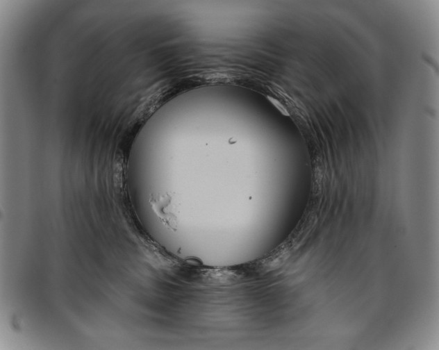 X0000096630379200802191202