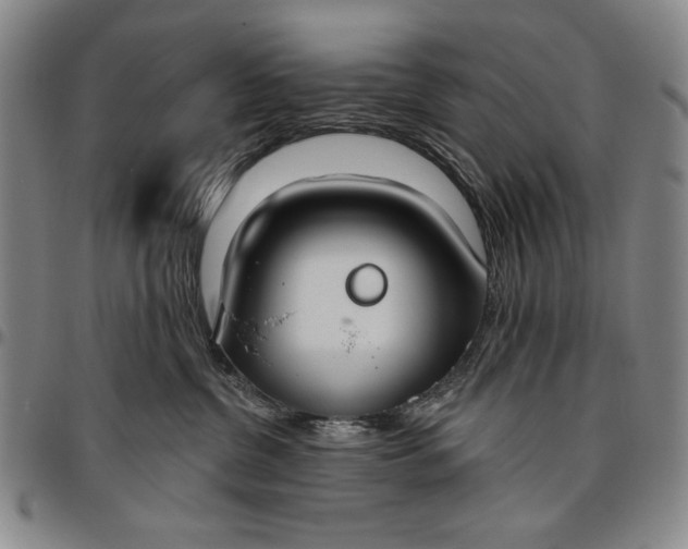 X0000096630380200802191202