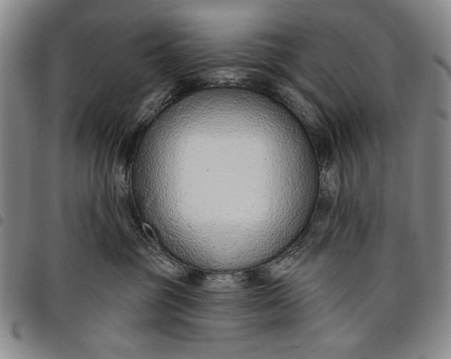 X0000096630381200802191202