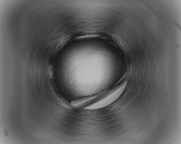 X0000096630383200802191202