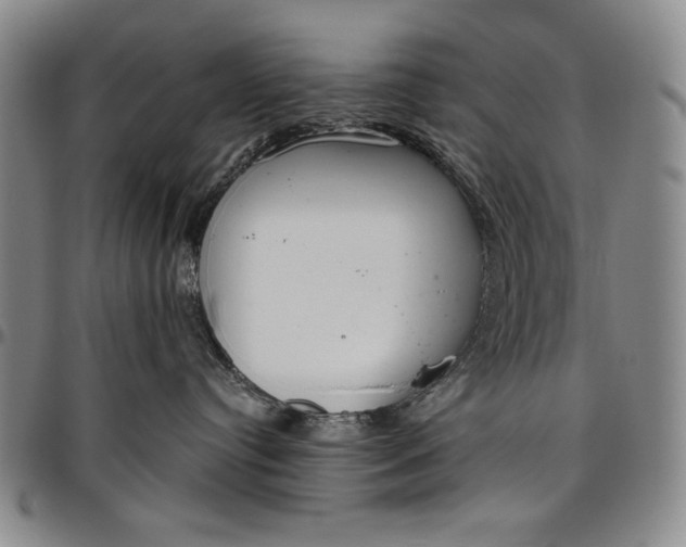 X0000096630384200802191202