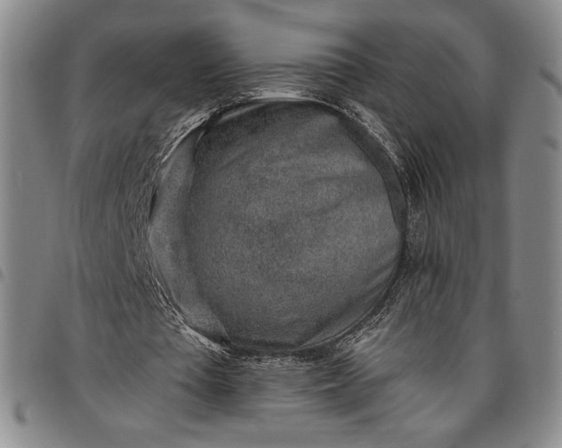 X0000096630385200802191201