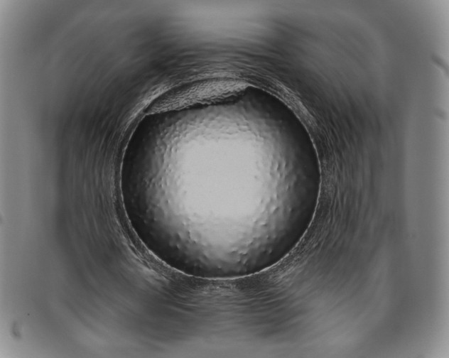 X0000096630386200802191201