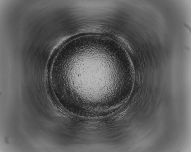 X0000096630388200802191201