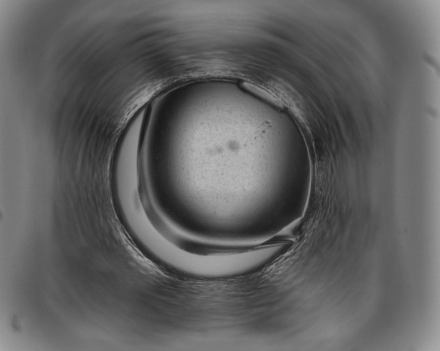 X0000096630389200802191201