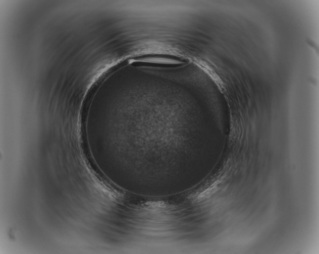 X0000096630391200802191201