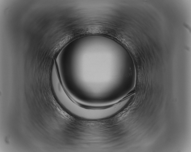 X0000096630393200802191201