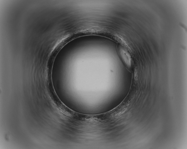 X0000096630396200802191201