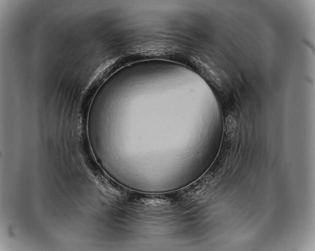 X0000096630400200802191201