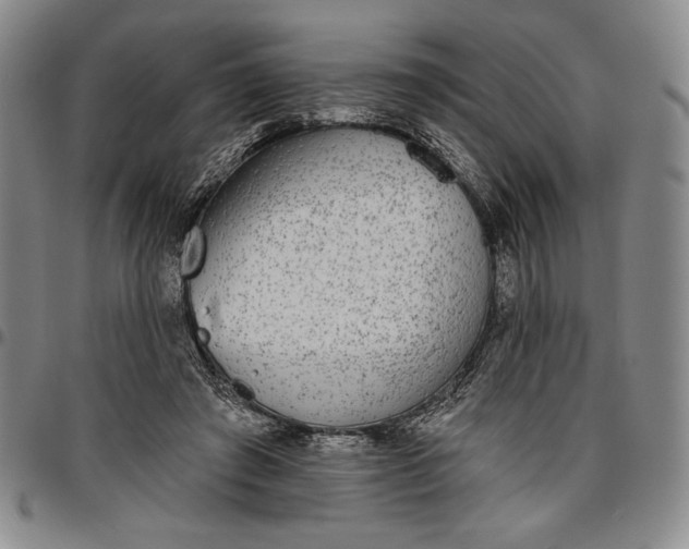 X0000096630401200802191201