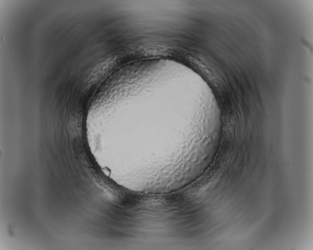 X0000096630402200802191201