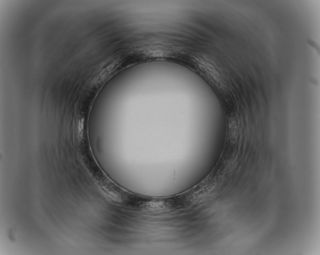 X0000096630406200802191201