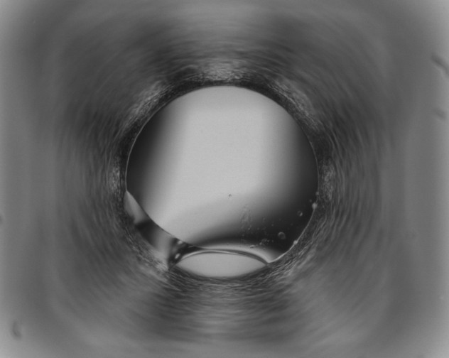 X0000096630407200802191201