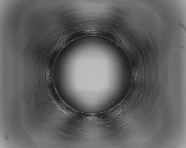 X0000096630408200802191201