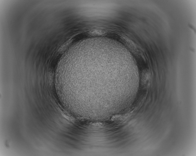 X0000096630409200802191201