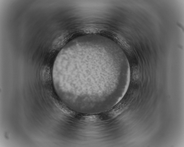 X0000096630411200802191201