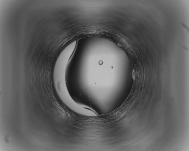 X0000096630415200802191201