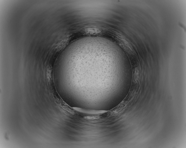 X0000096630417200802191201
