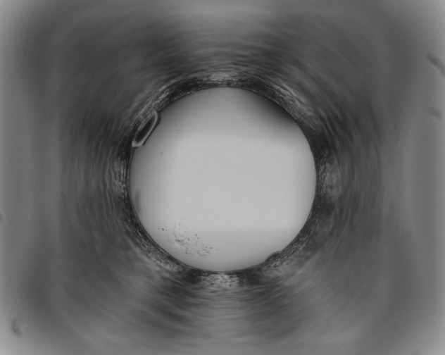 X0000096630421200802191201
