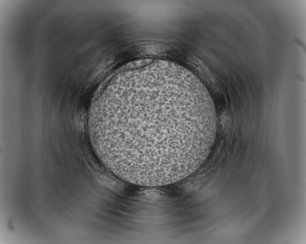 X0000096630423200802191201