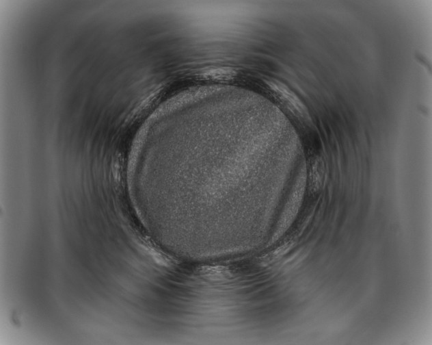 X0000096630424200802191201