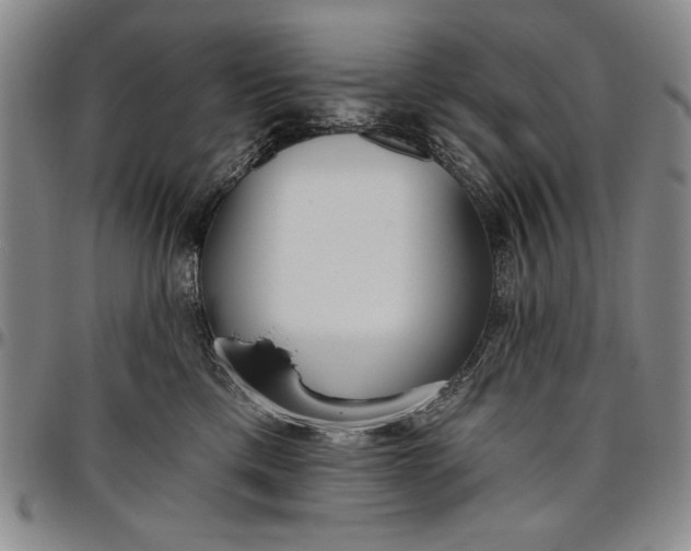 X0000096630425200802191201