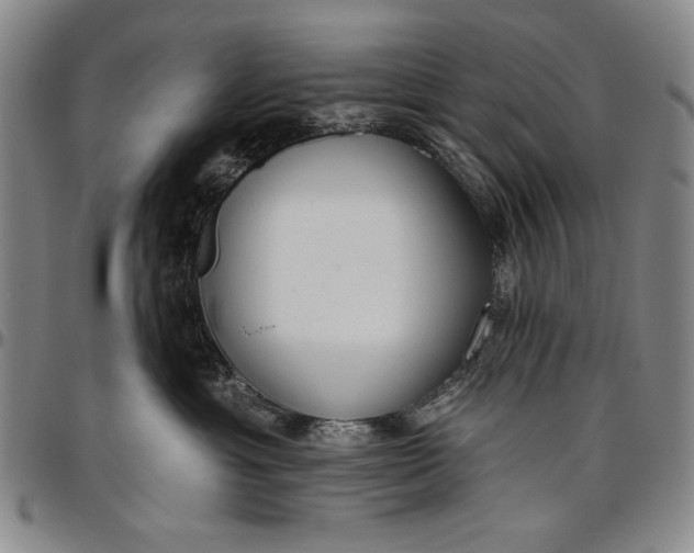 X0000096630429200802191201