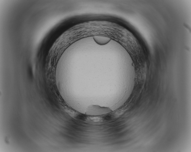 X0000096630431200802191201