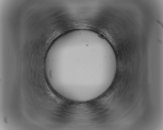 X0000096630433200802191200
