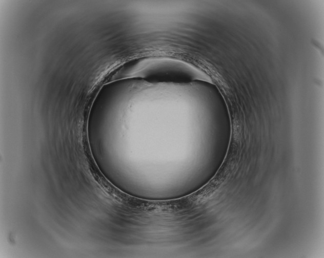 X0000096630434200802191200