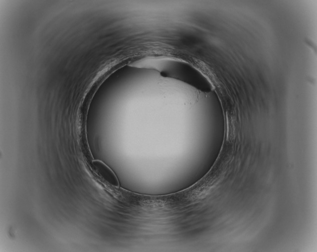 X0000096630435200802191200