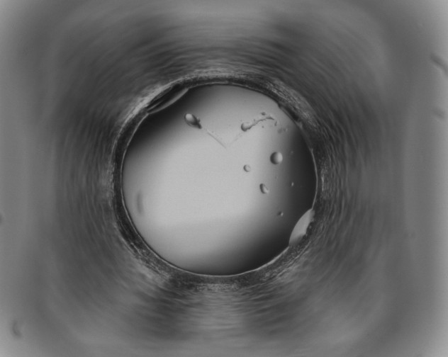 X0000096630436200802191200