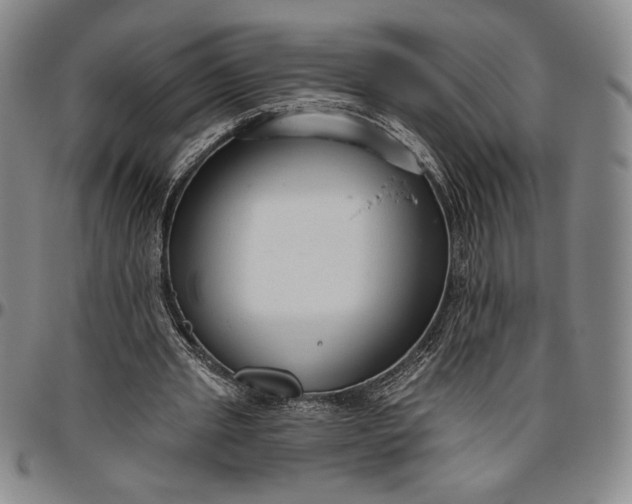 X0000096630437200802191200