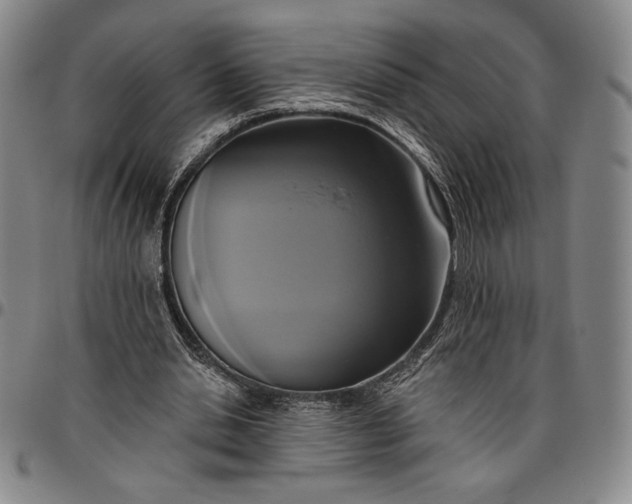 X0000096630438200802191200