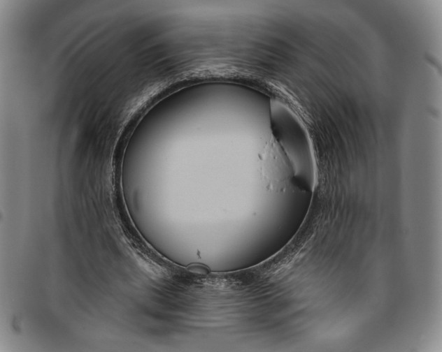 X0000096630439200802191200